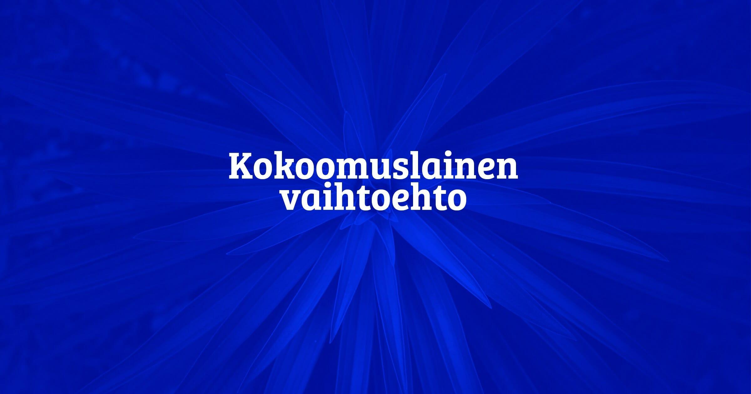 Kokoomuksen vaihtoehto Rinteen budjetille